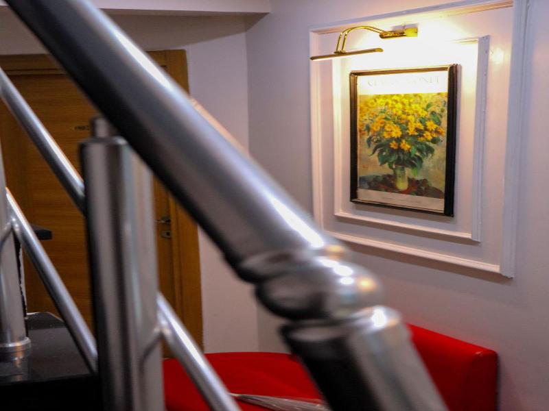 Istanbul Terrace Hotel image