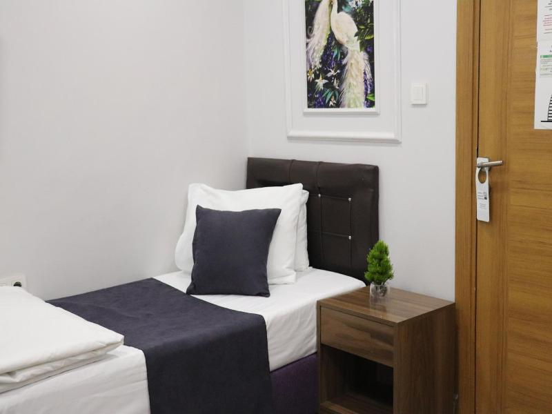 Istanbul Terrace Hotel image