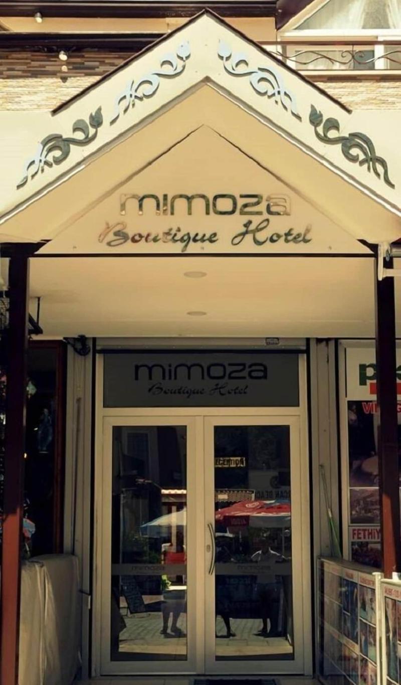 Mimoza Hotel image