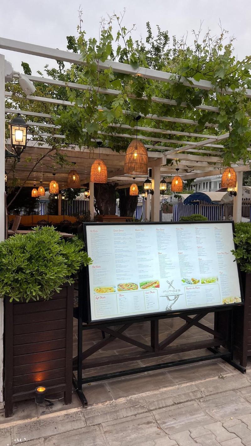 Mimoza Hotel image