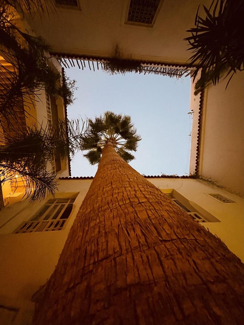 Riad 144 image