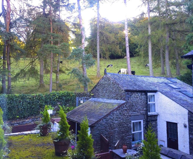 Blenheim Lodge image