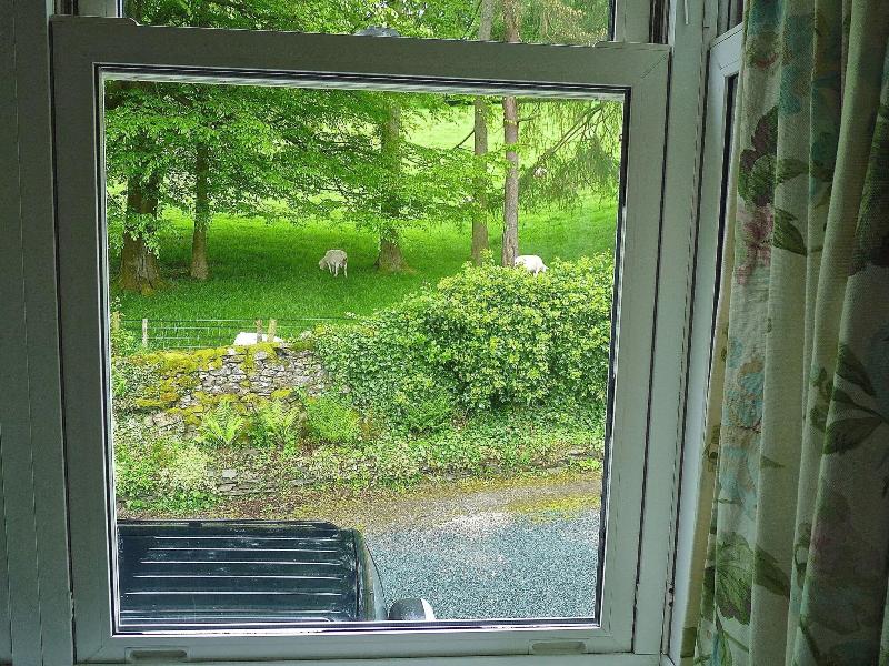 Blenheim Lodge image