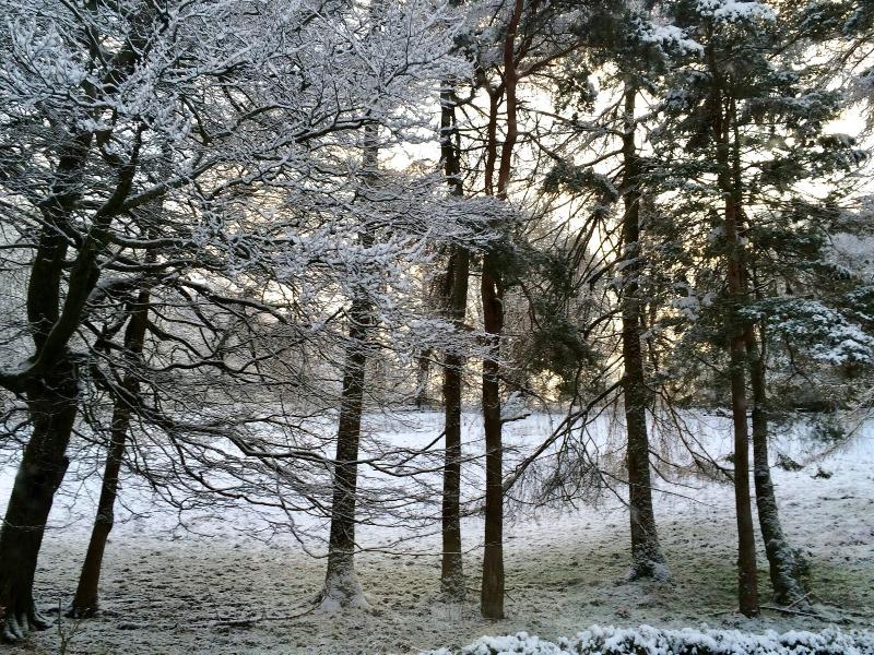 Blenheim Lodge image