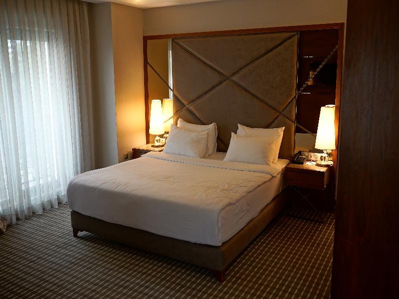 Riva Ankara Hotel (exQhotel) image