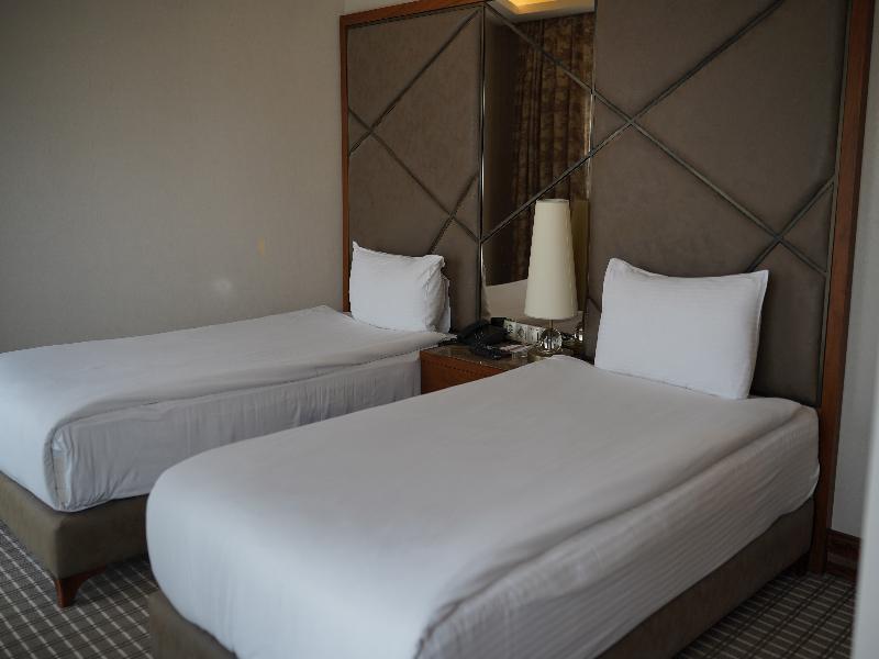 Riva Ankara Hotel (exQhotel) image