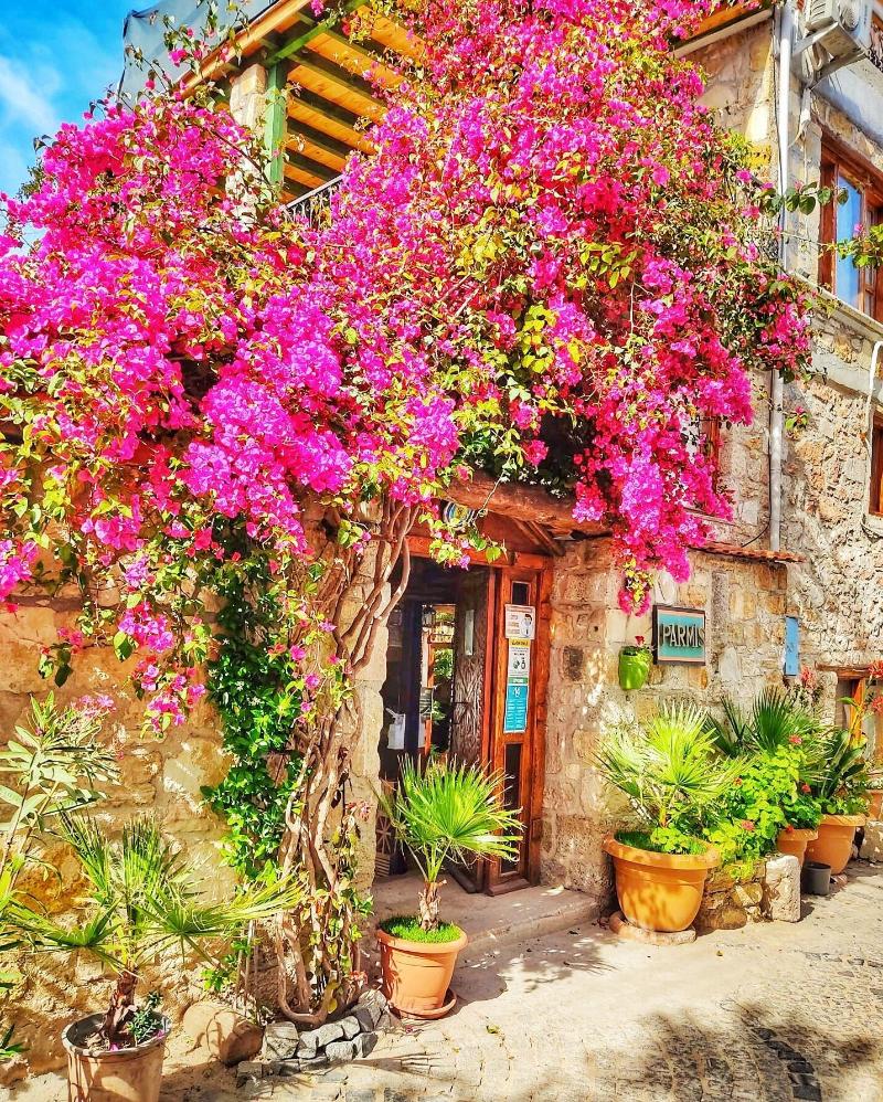Parmis Boutique House image