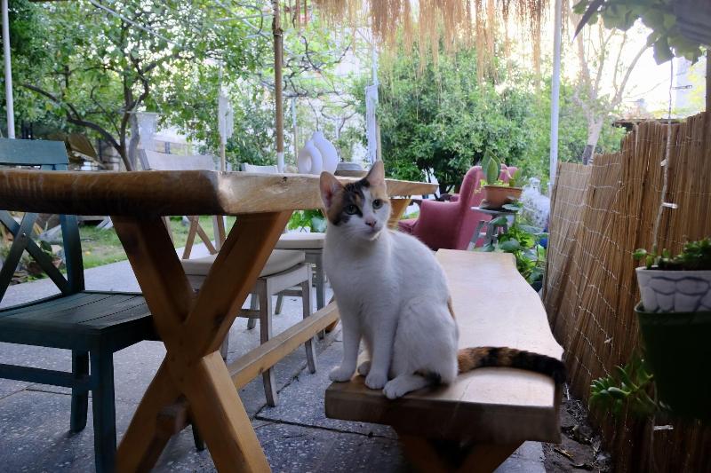 L Onda Oda Bodrum image