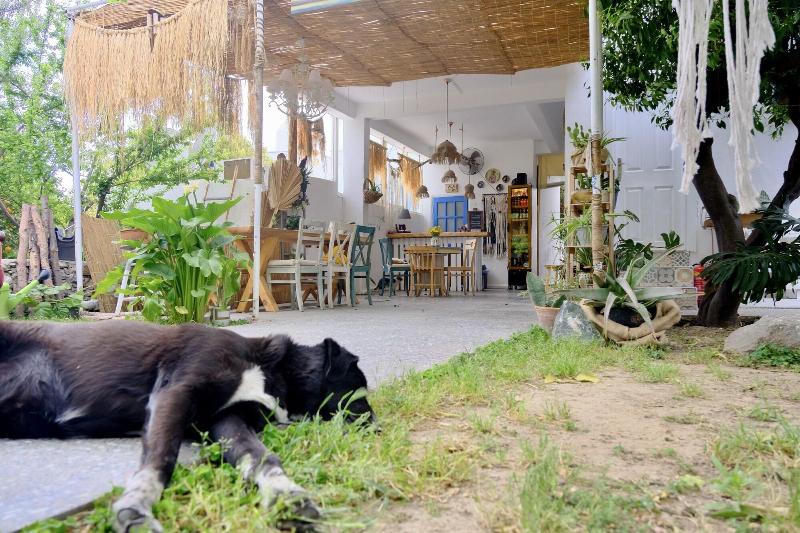 L Onda Oda Bodrum image