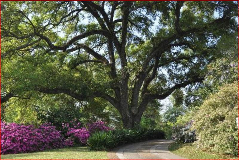 The Burn Bed And Breakfast image