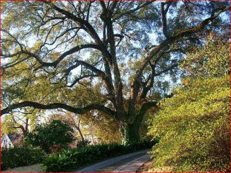 The Burn Bed And Breakfast image