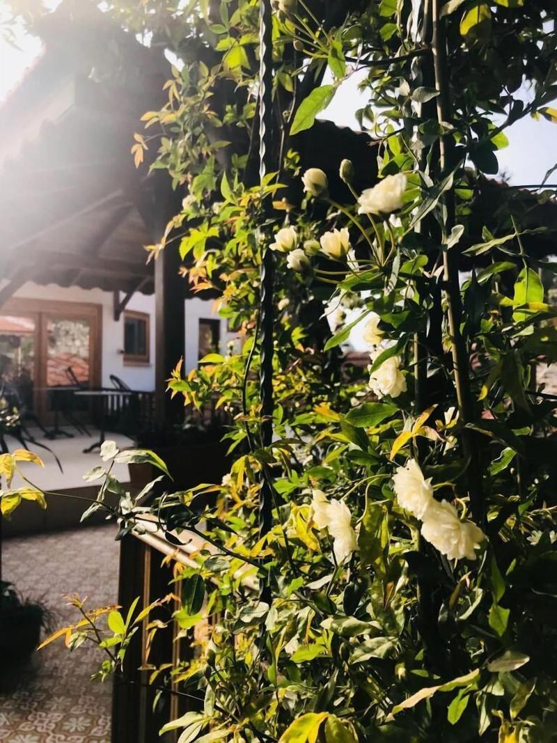 A Bri Boutique Hotel image