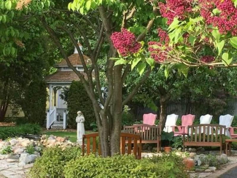 White Lace Inn image