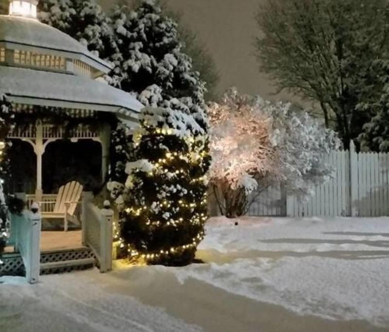 White Lace Inn image
