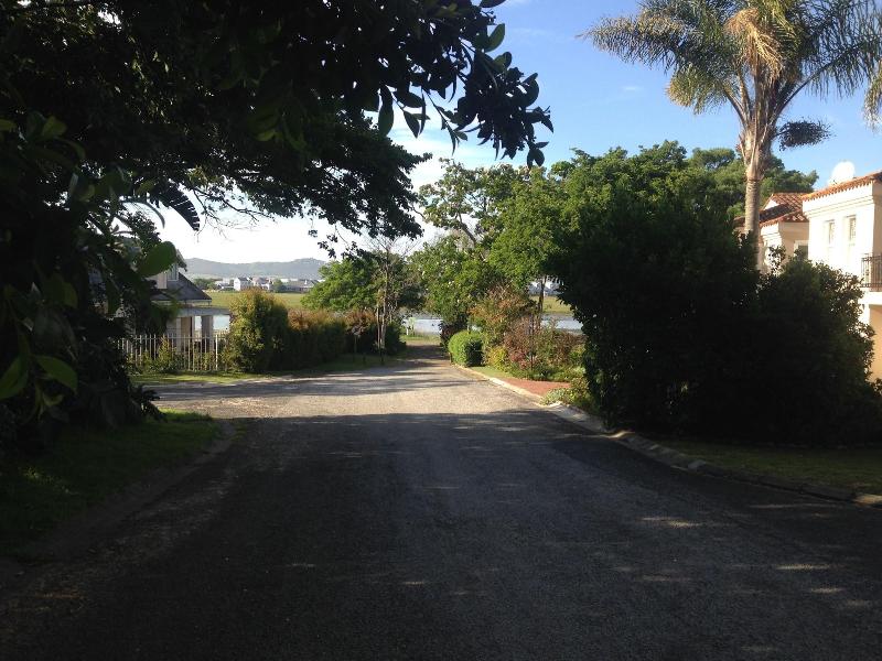 Blue Fern Of Knysna image