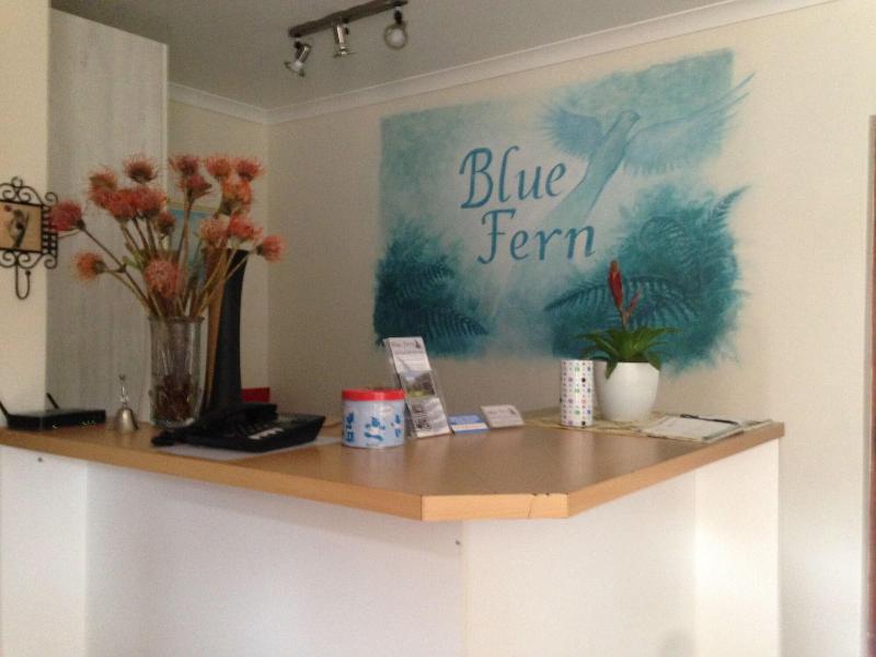 Blue Fern Of Knysna image