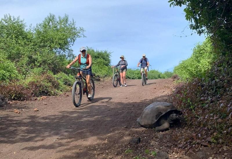 Galapagos Dreams image