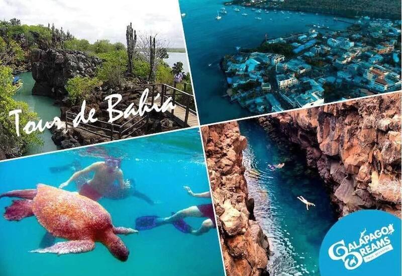 Galapagos Dreams image