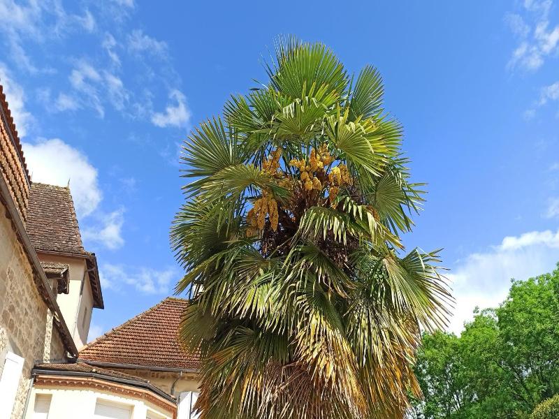 Le Domaine De L Escadasse image