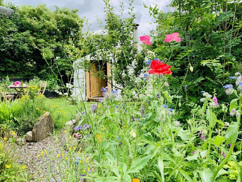 Wester Auchraw Croft B B image