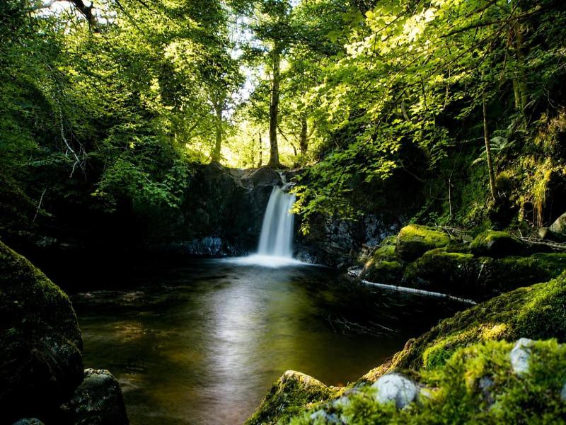 Wester Auchraw Croft B B image
