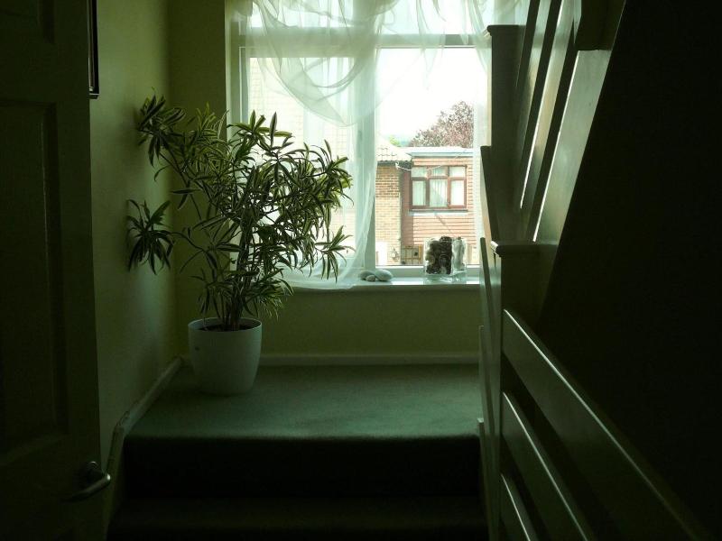 Malvern House image