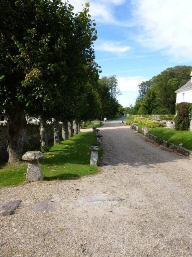 Overtown Manor image