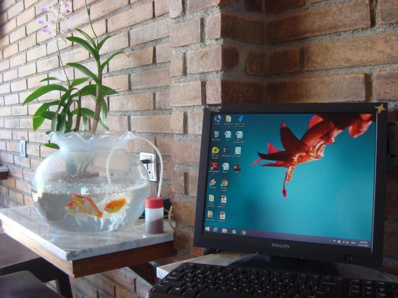 Bali Caps Hostel image