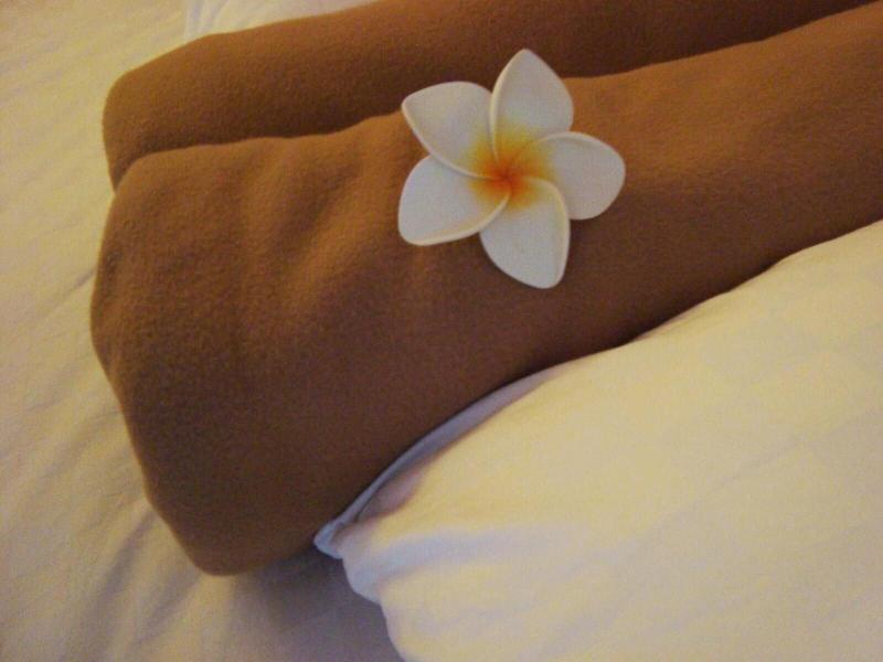 Bali Caps Hostel image