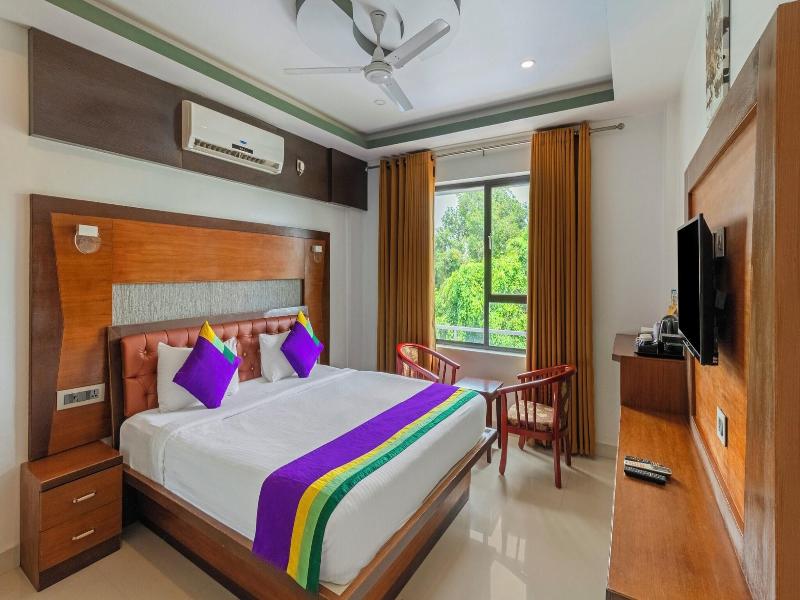 Treebo Tryst Palmyra Grand Suite image