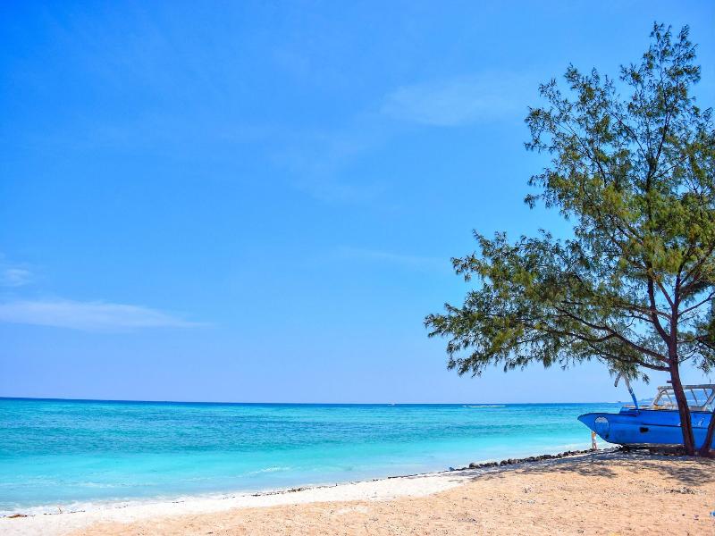 Salili Bungalows image