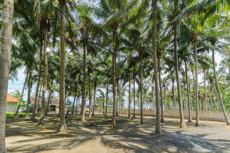 Coconut Hill Cottages image