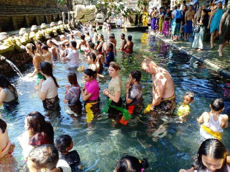 Dedeane Ubud image