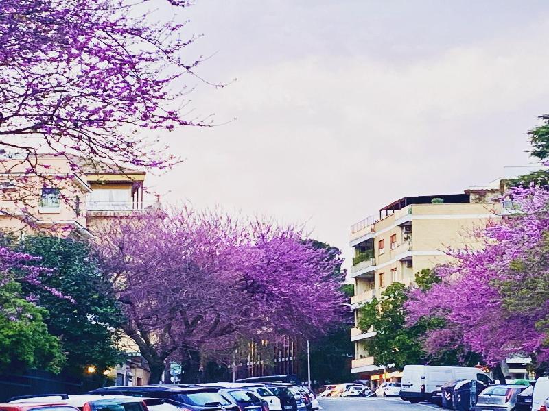 Roma Trastevere Relais Guest House image