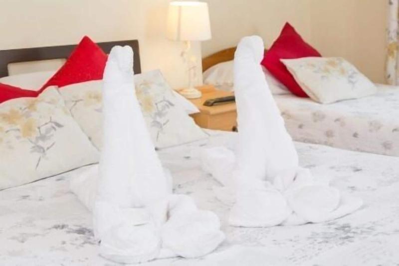 The Firs Guest House image
