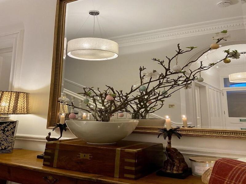 Antler Guest House image
