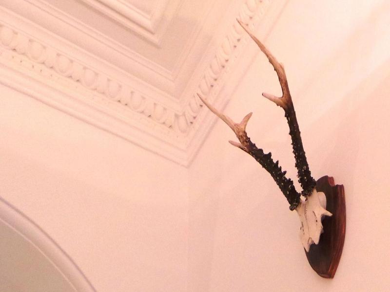 Antler Guest House image