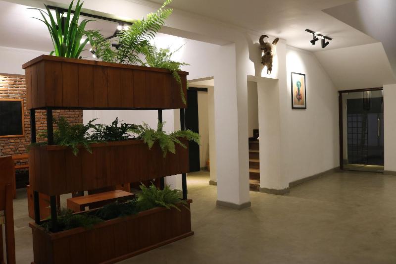 Fern Colombo image