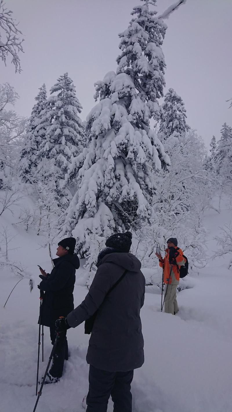 K S House Hokkaido Asahidake Onsen Hostel image