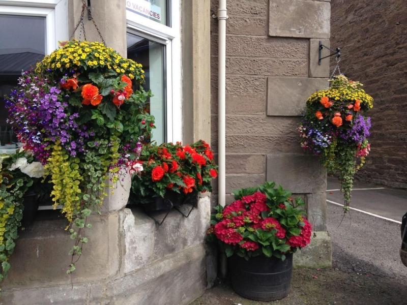 Rosebank Guest House image