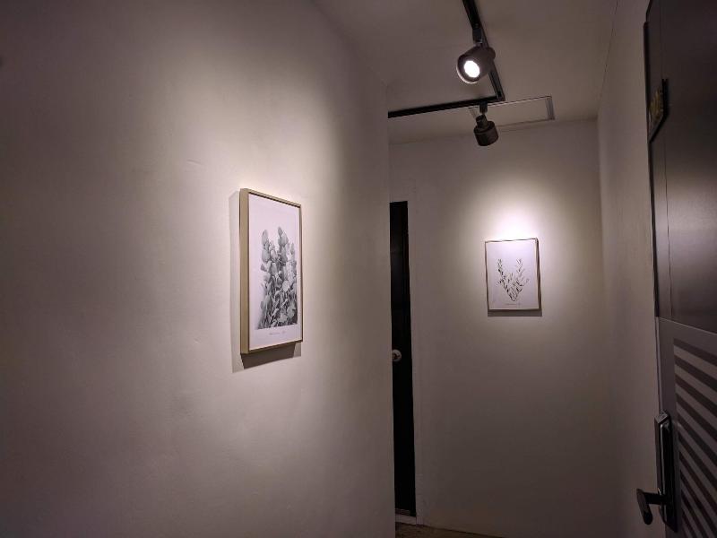 Backpackers In Yeosu Hostel image