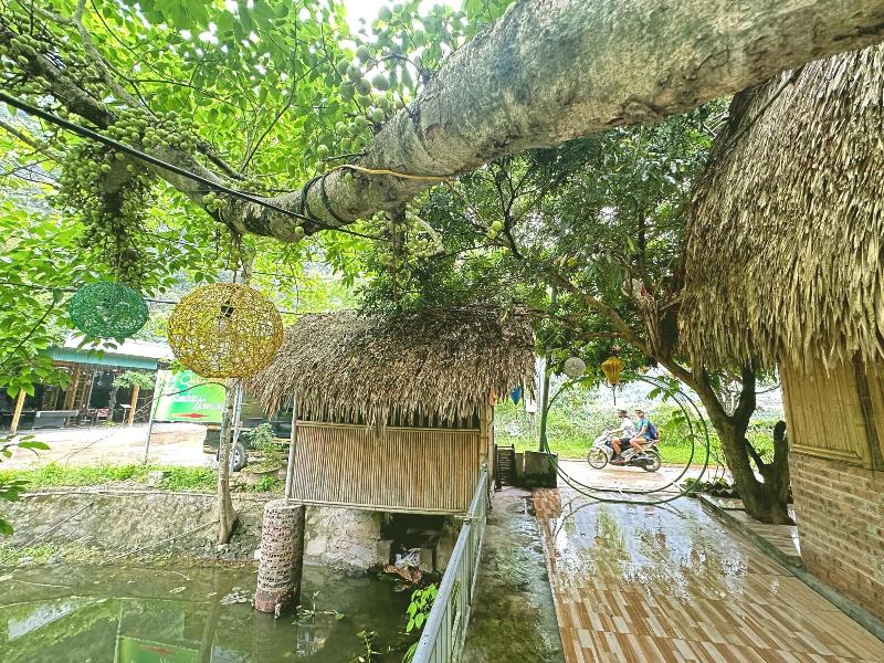 Quoc Khanh Bamboo Homestay image