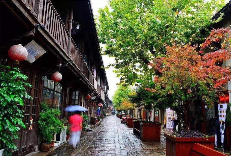 Yi Garden Cultural Hotel Disney Branch 5