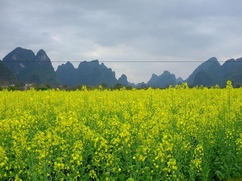 Yangshuo Eden Yha