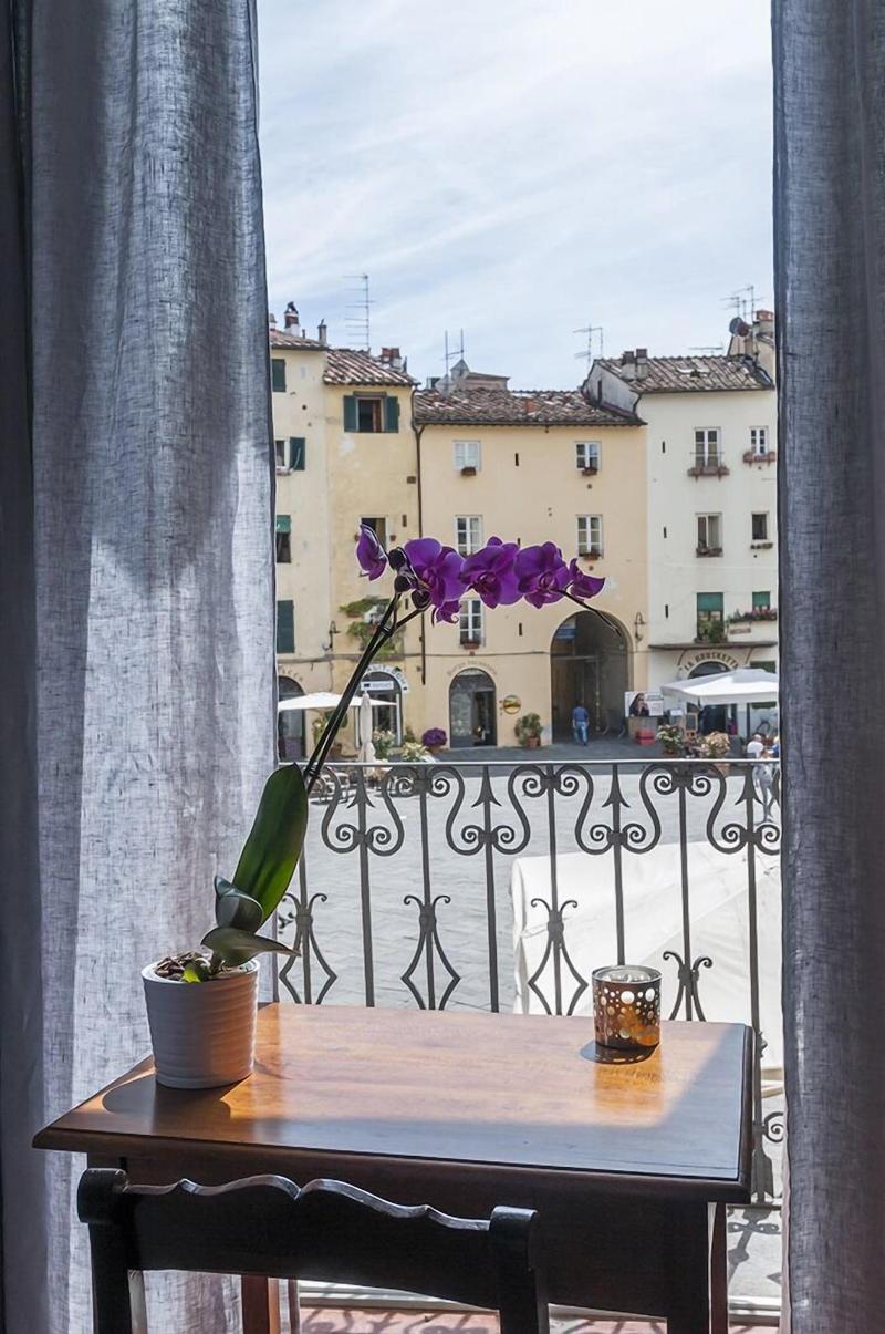B B Arena Di Lucca image