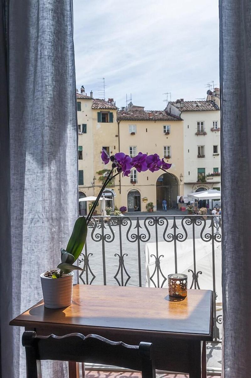 B B Arena Di Lucca image