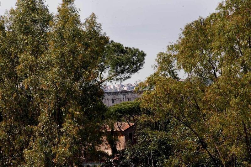 Clemy In Rome image