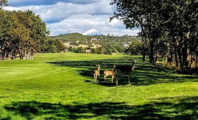 Resort At Eagle Point image