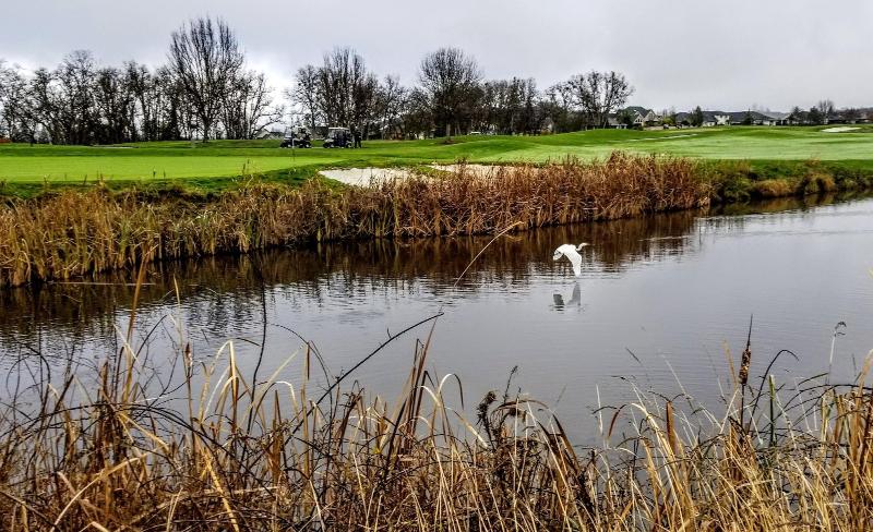 Resort At Eagle Point image
