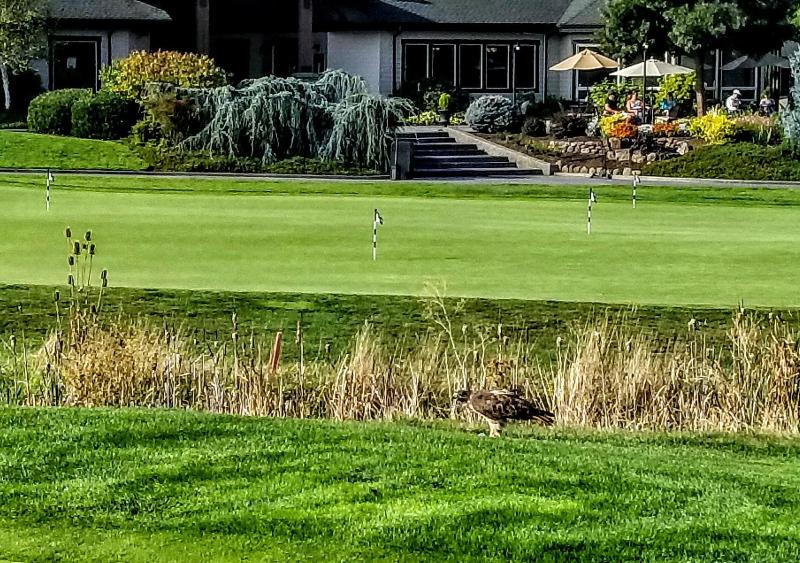 Resort At Eagle Point image